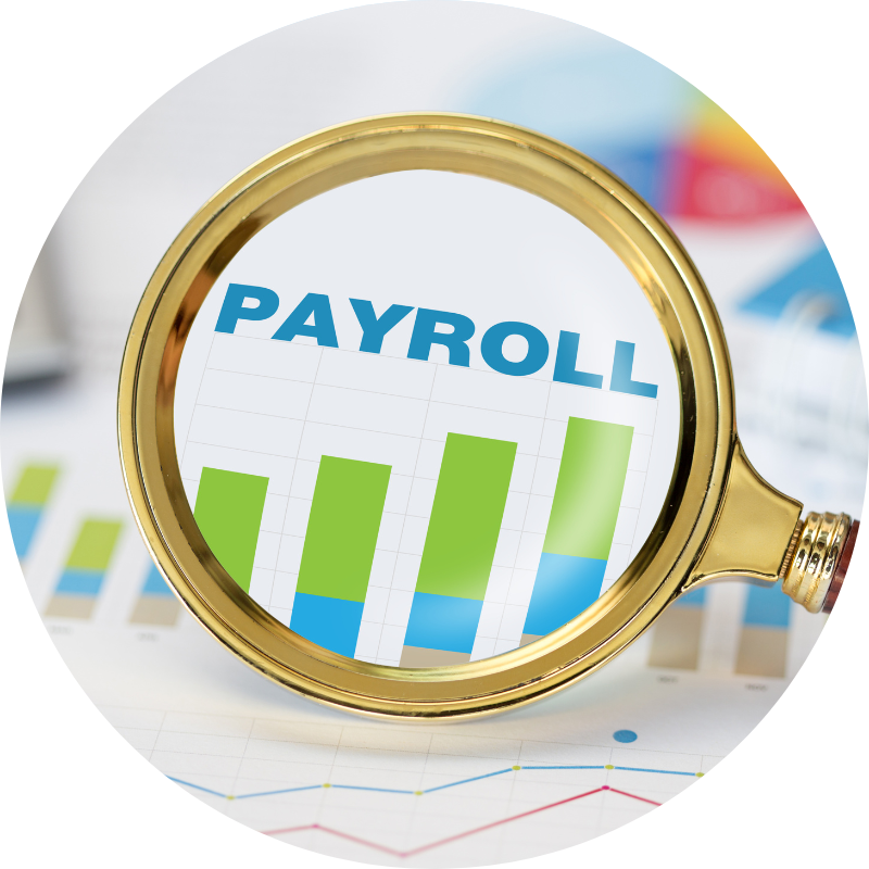 Preparing for Mid-Year Payroll Reviews: What to Check & Adjust